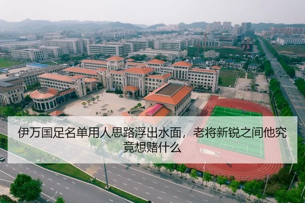 伊万国足名单用人思路浮出水面，老将新锐之间他究竟想赌什么